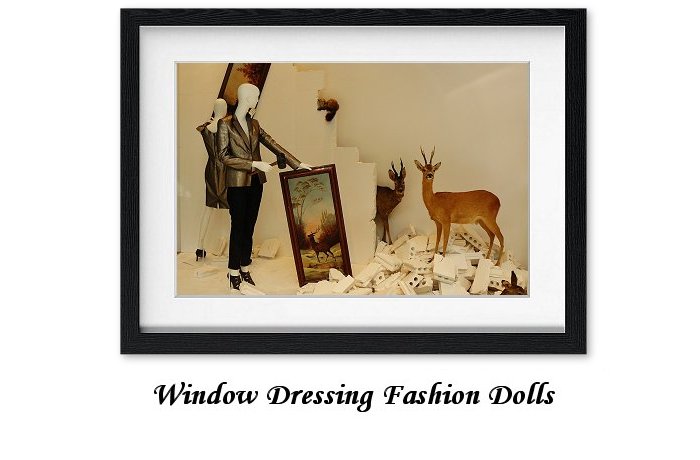 Window Dressing Fashion Dolls